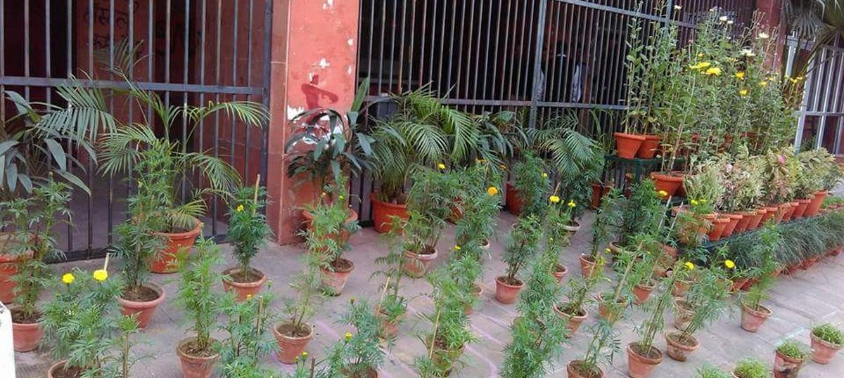 JNUSU protests, uses flowerpots placed by administration to spell out missing student's name