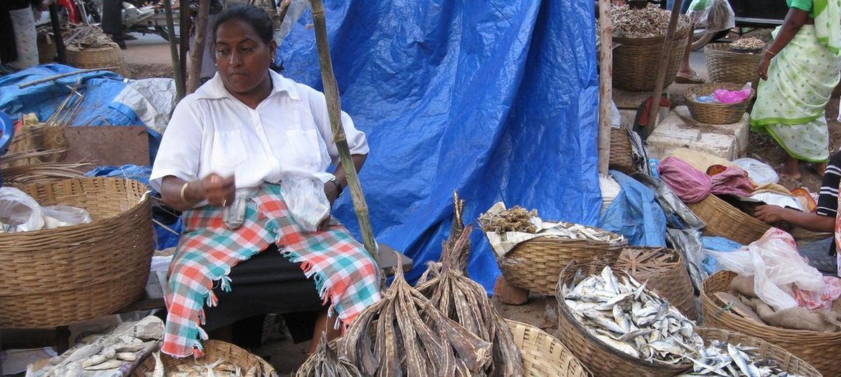Formalin scare: Goa government bans import of fish from neighbouring states till July-end