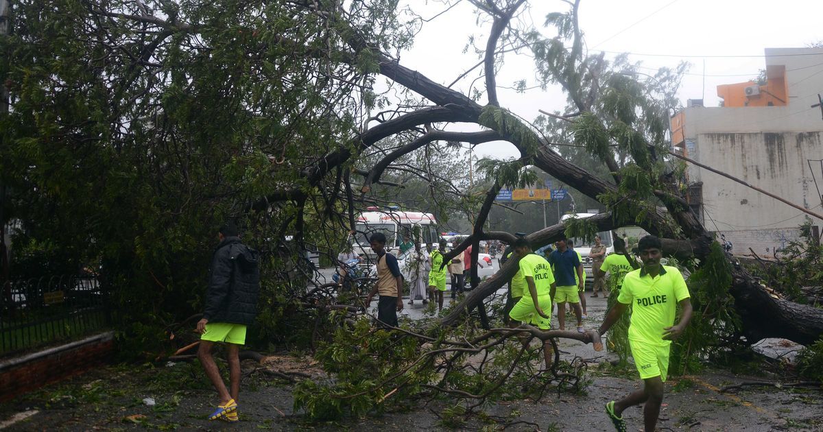 Cyclone Vardah: Centre-appointed team to submit report after assessing damage in Tamil Nadu