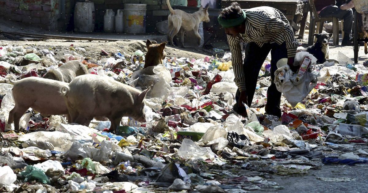 National Green Tribunal tells Delhi government to clear dues of sanitation workers without delay