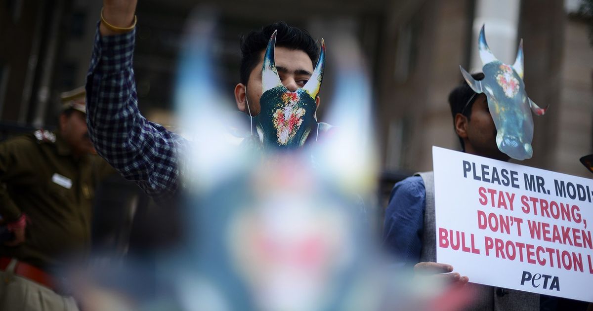 The big news: Activists say ordinance on jallikattu would be unconstitutional, and 9 other stories