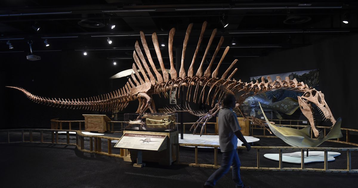 Scientists discover dinosaur tracks in China
