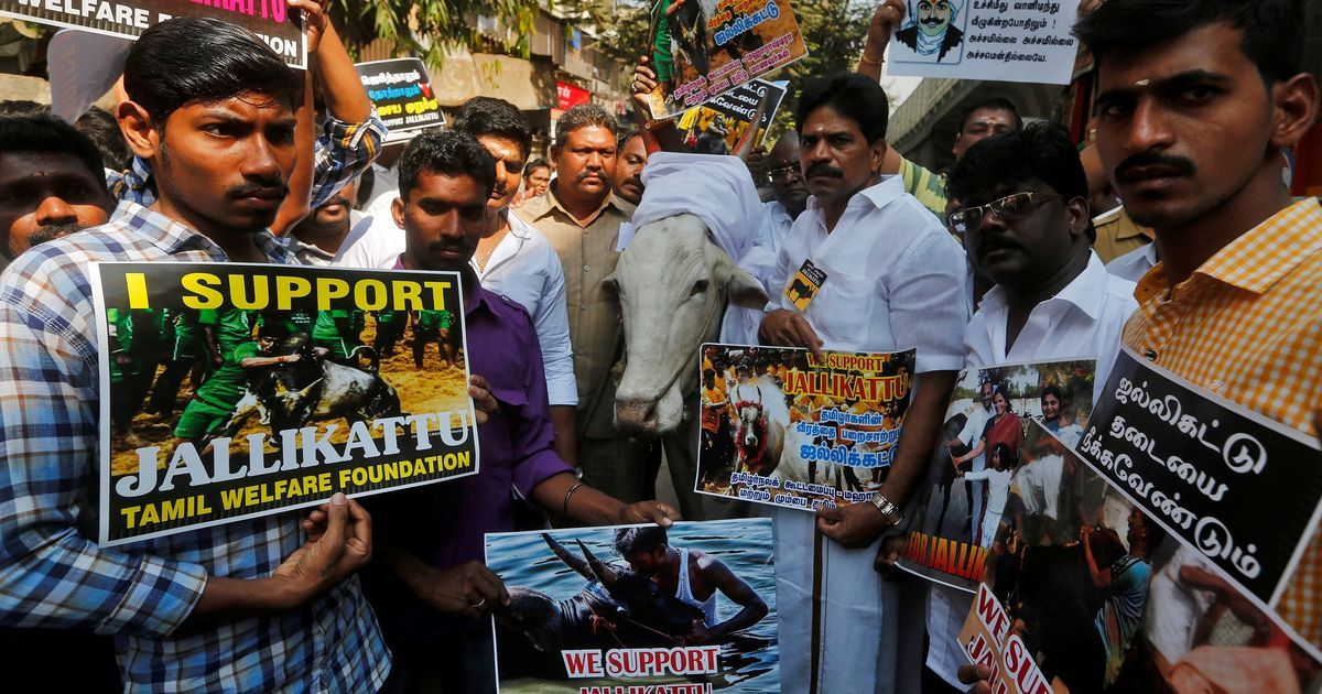 Tamil Nadu Assembly passes Bill to allow jallikattu