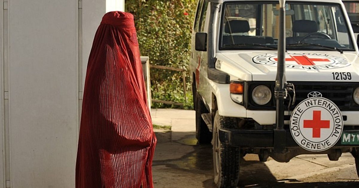 Red Cross to temporarily stop operations in Afghanistan after six aid workers killed by militants
