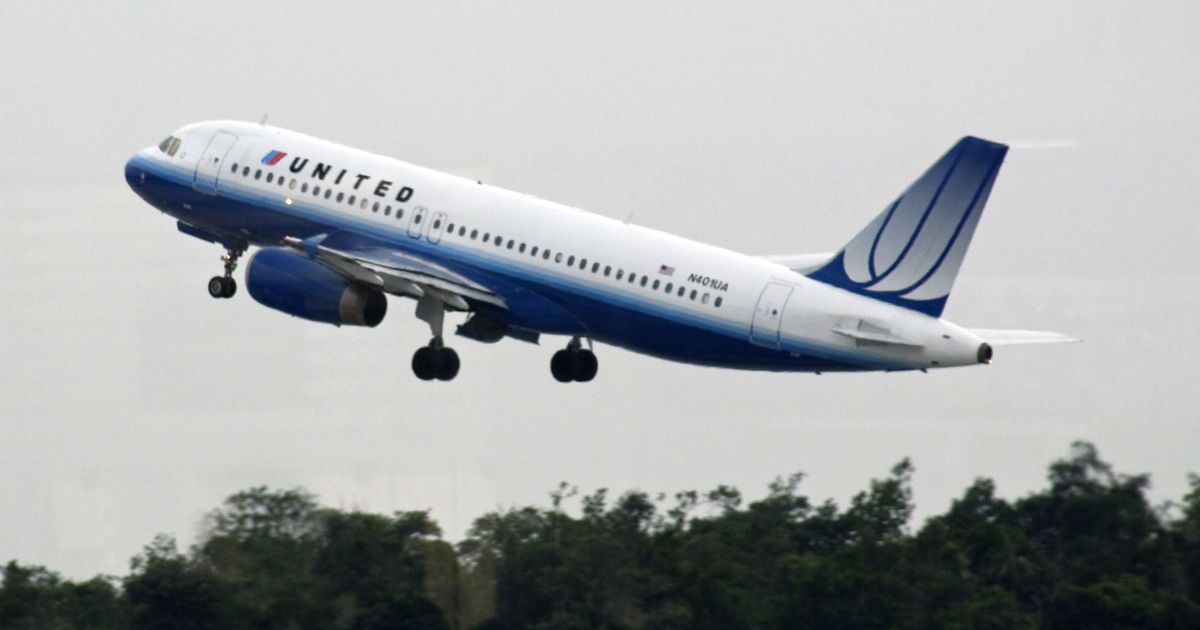 Dog dies in a United Airlines flight after attendant forces owner to keep it in overhead bin