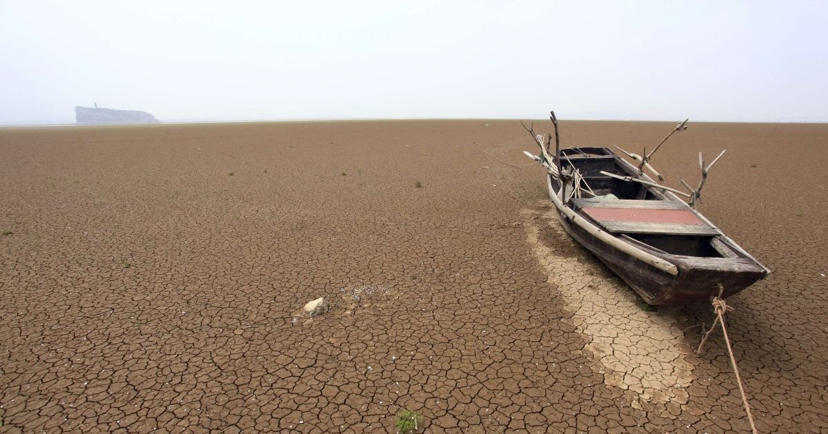 क्या धरती पर जीवन के अंत का छठा दौर शुरू हो गया है?