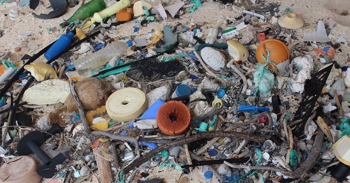 Remote South Pacific island has highest plastic density in the world, says report