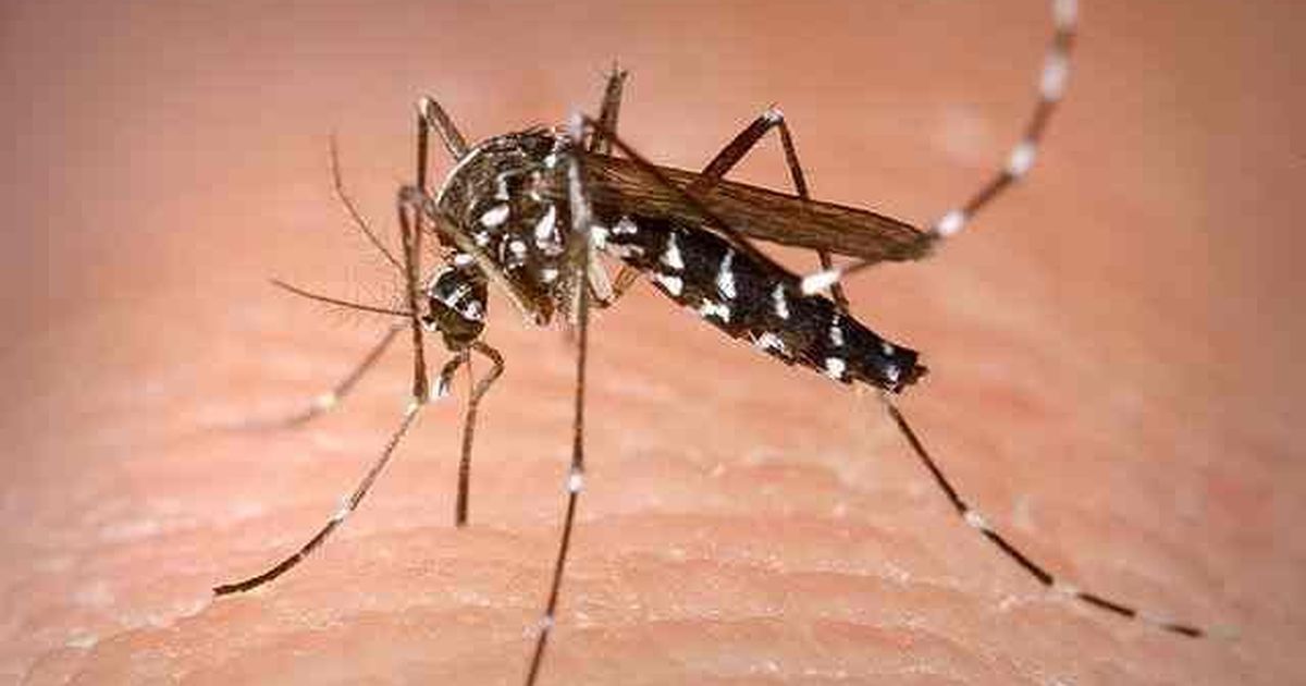 For over four months, health authorities have taken no action on Zika infection cases in India