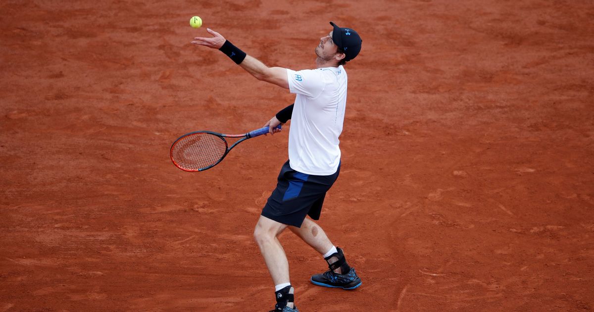 Murray sets up Nishikori clash