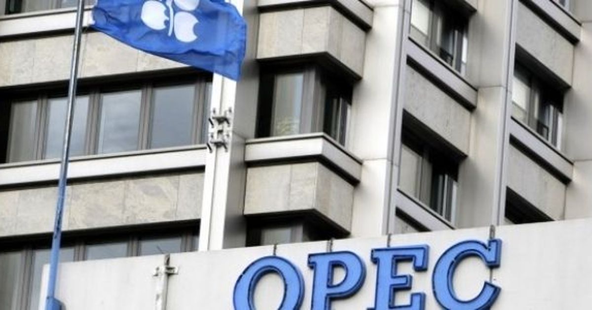 Oil prices rise nearly 1% as key producers decide to reduce supply from January