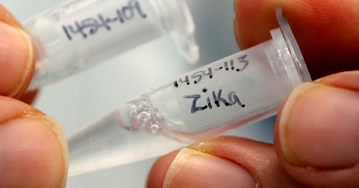 Health ministry confirms 29 Zika cases in Jaipur, deputes high-level committee for control measures