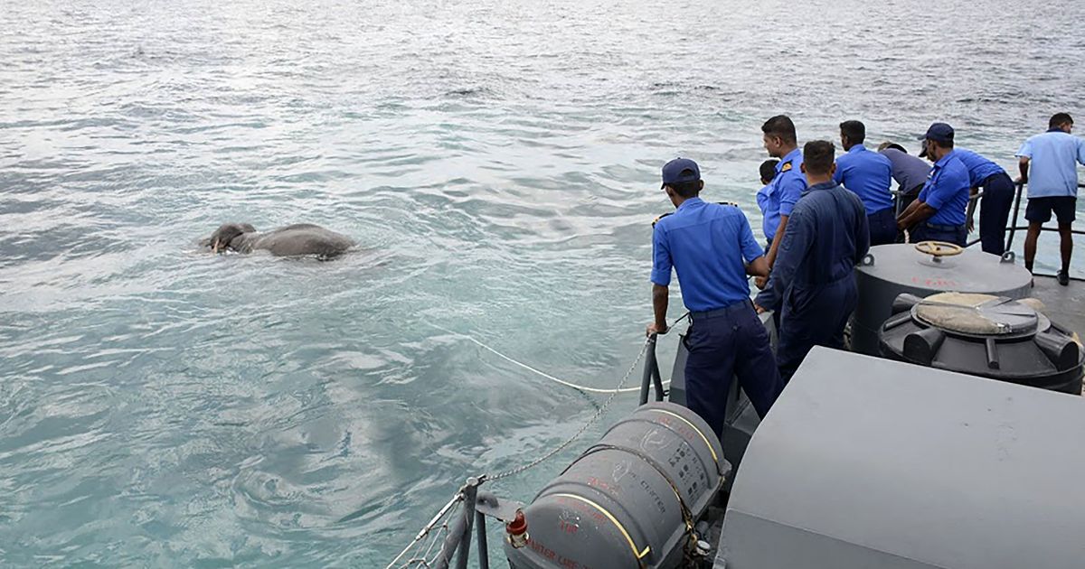 sri lankan navy rescues