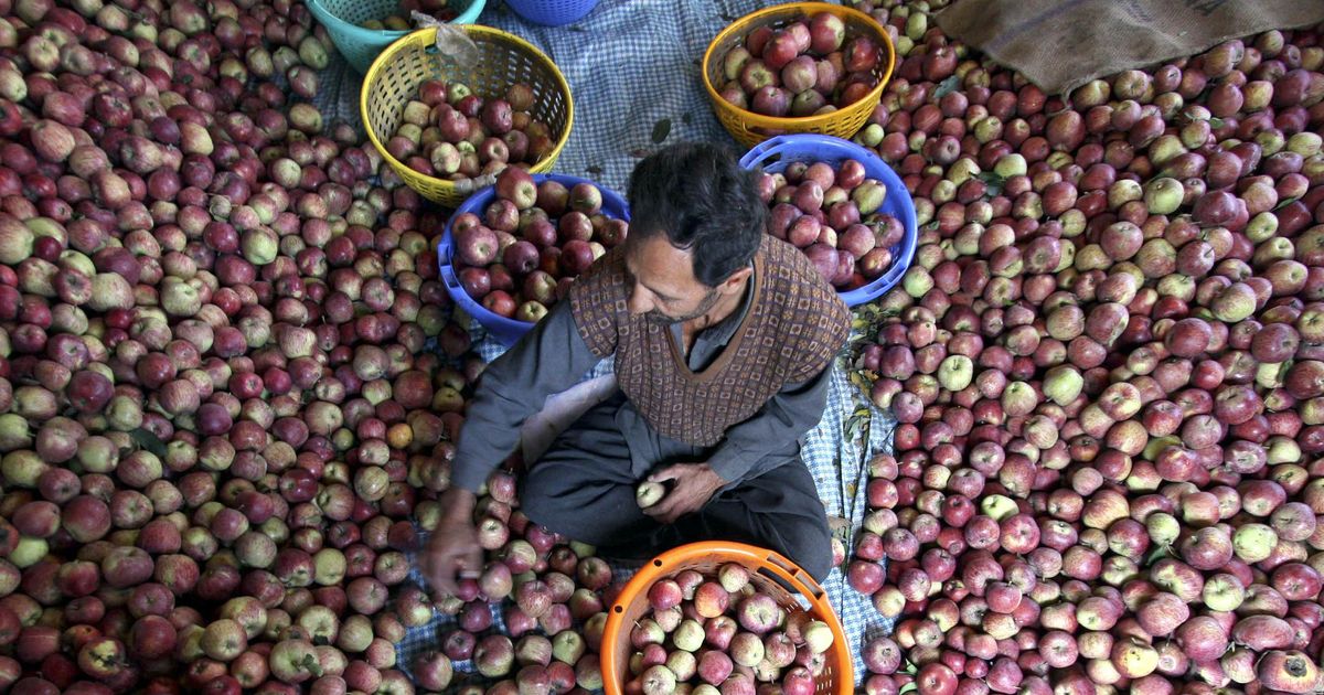 क्या ‘हिमाचली सेब’ बीते वक्त की बात होने जा रहे हैं?