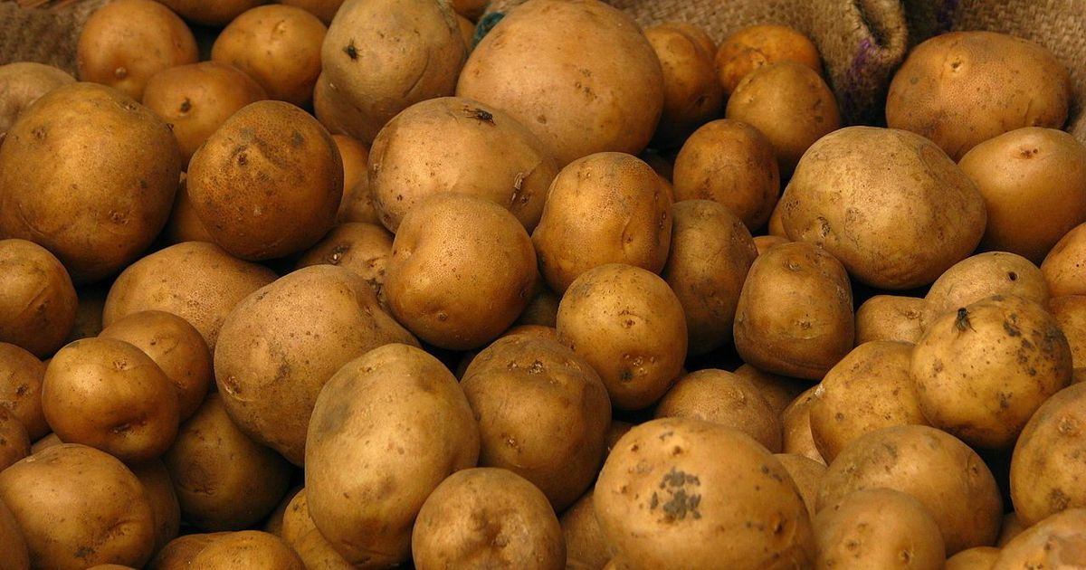 Wholesale price inflation rose to 4.43% in May – the highest in over a year