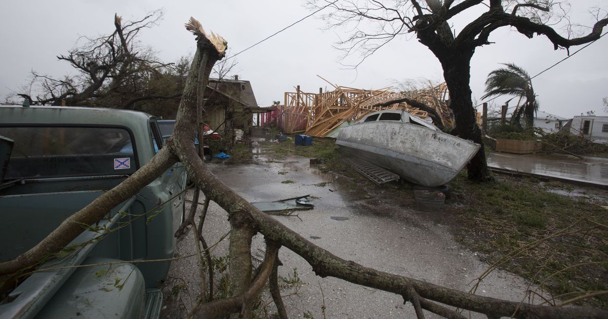 $ 306 Billion Damage from Natural Disasters in the US $ 306 Billion Damage from Natural Disasters in the US