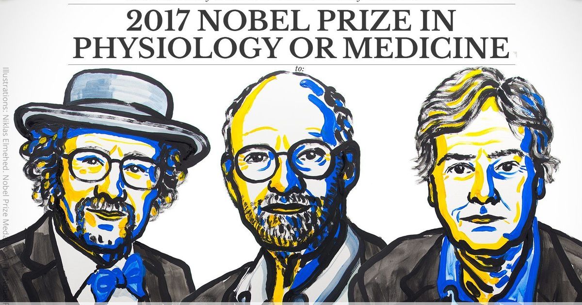 American trio get Nobel Prize for Medicine for their research on biological rhythm