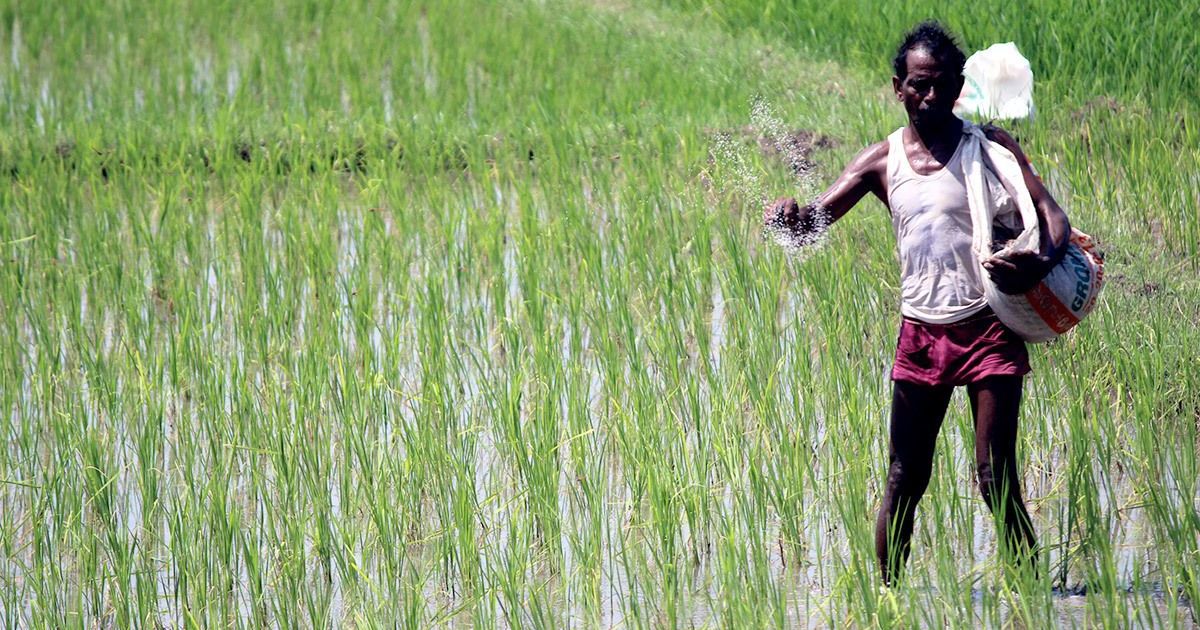 Climate change can reduce farm incomes by 25%: Economic Survey has dismal outlook for agriculture