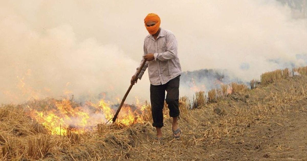 Centre approves Rs 100 crore project to tackle stubble burning in neighbouring states of Delhi