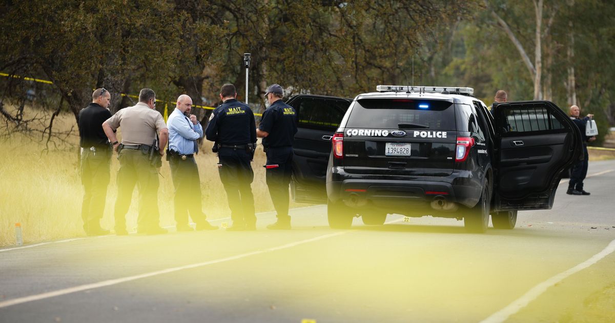 California: Four killed, 10 injured after gunman targets elementary school