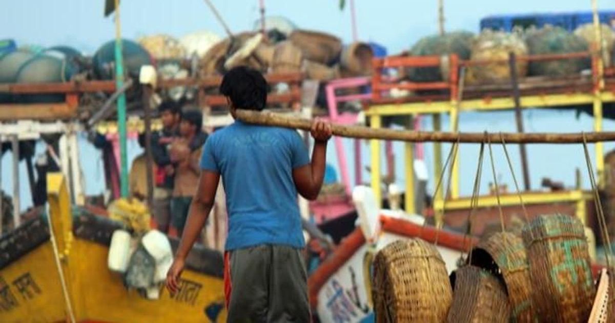 How fishermen in India are tackling declining fish stocks with little