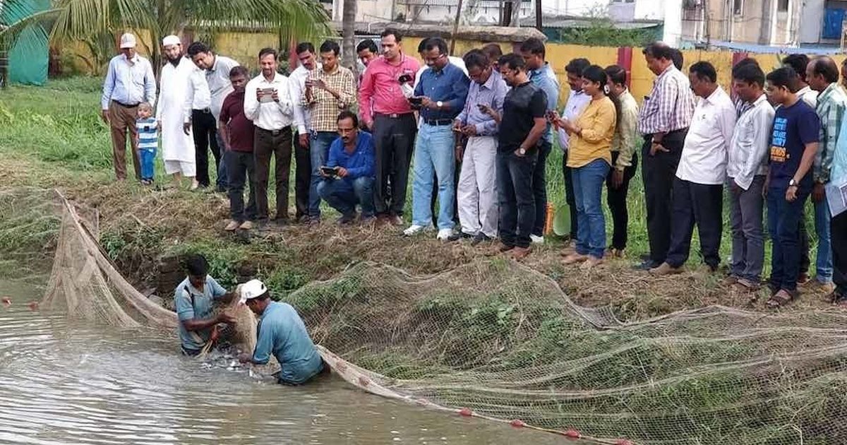 How rearing fish in small ponds is helping farmers boost their