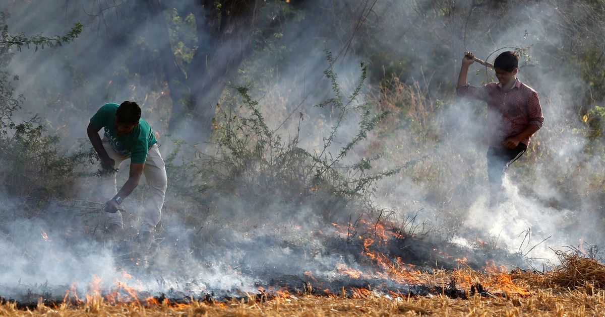 NGT fines Delhi government Rs 2 lakh for not filing action plan on curbing pollution