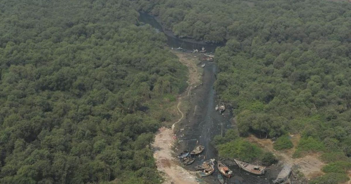 Encroachers have taken up more than 670 sq km of forest area in Maharashtra: Hindustan Times