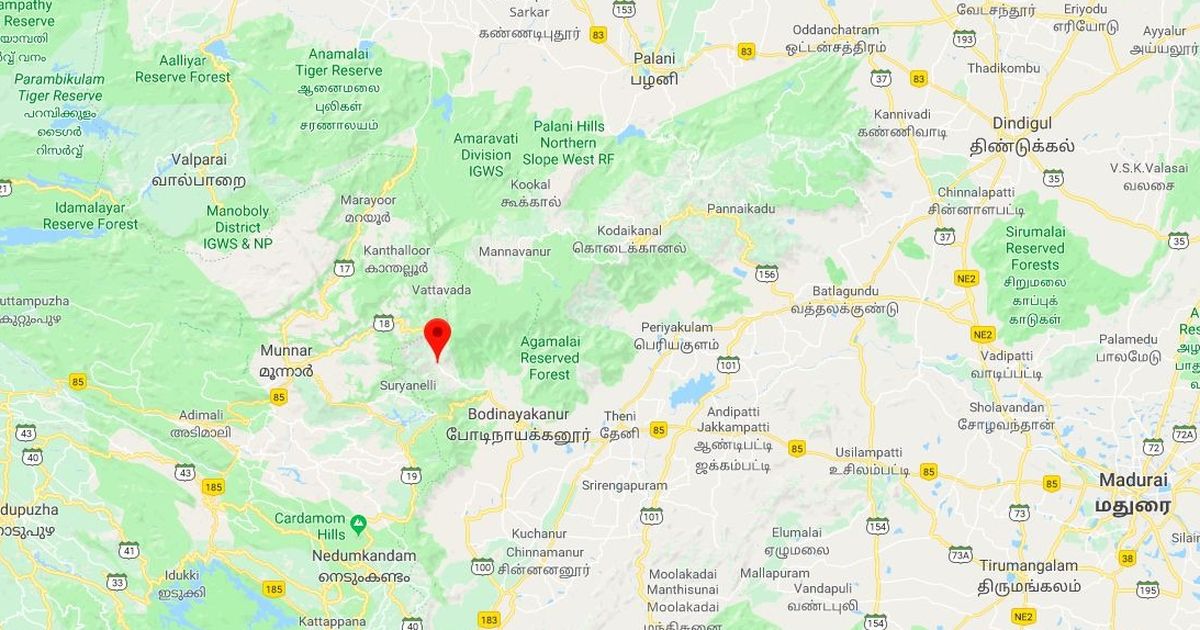 Trekking banned in Kerala forest regions after Theni wildfire Trekking banned in Kerala forest regions after Theni wildfire