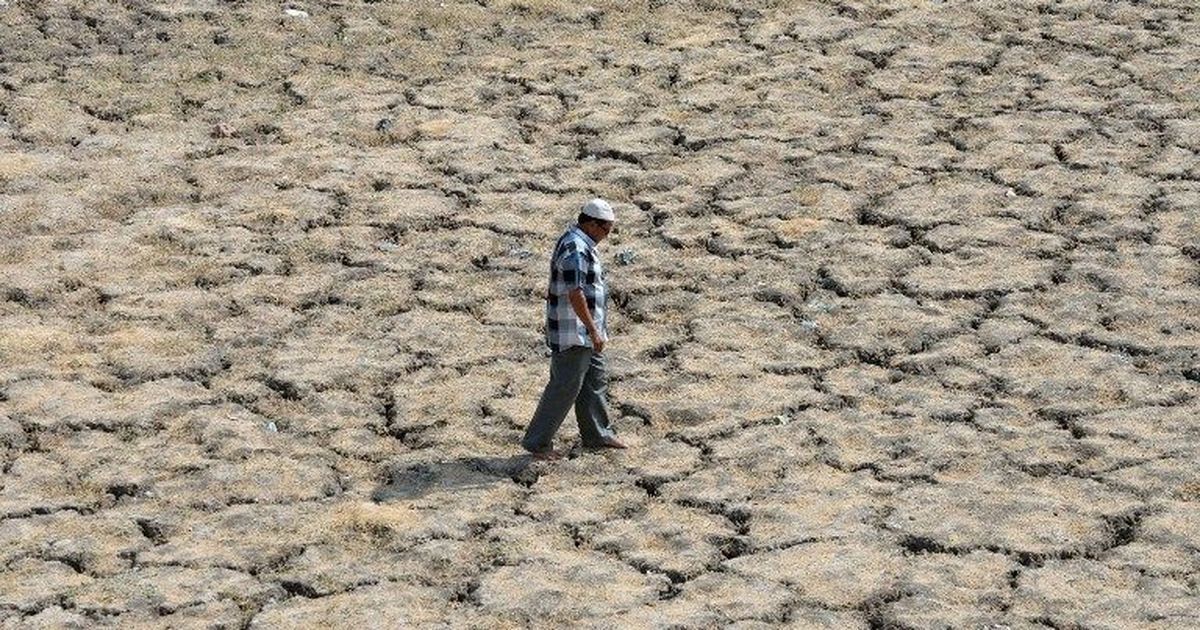 Shrinking reservoirs in Madhya Pradesh and Gujarat could soon lead to drought: Report