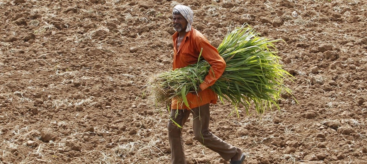 Kerala declares drought in all 14 districts of the state