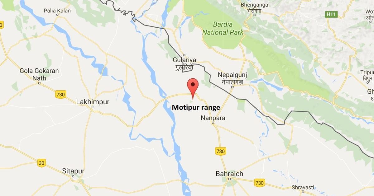 Uttar Pradesh: 8-year-old girl found living with a troop of monkeys in forest