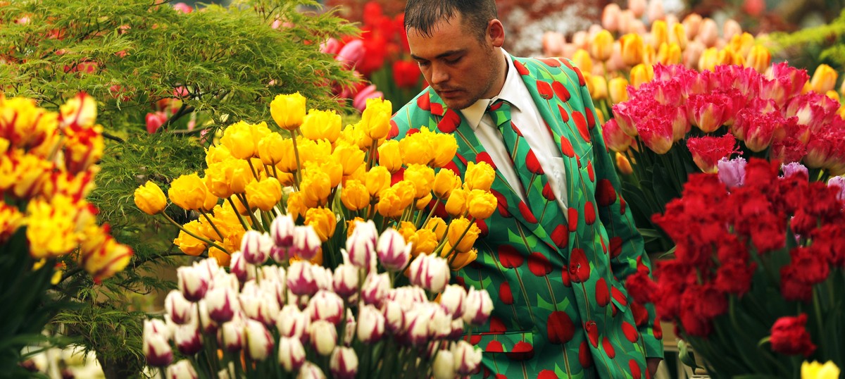 The flower breeders who sold X-ray lilies and atomic marigolds