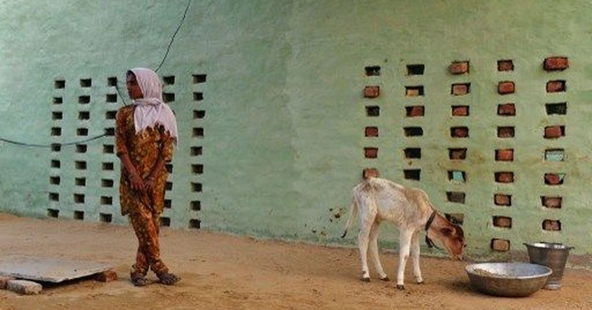 Car owned by member of Yogi Adityanath's Hindu Yuva Vahini allegedly runs over calf: Indian Express
