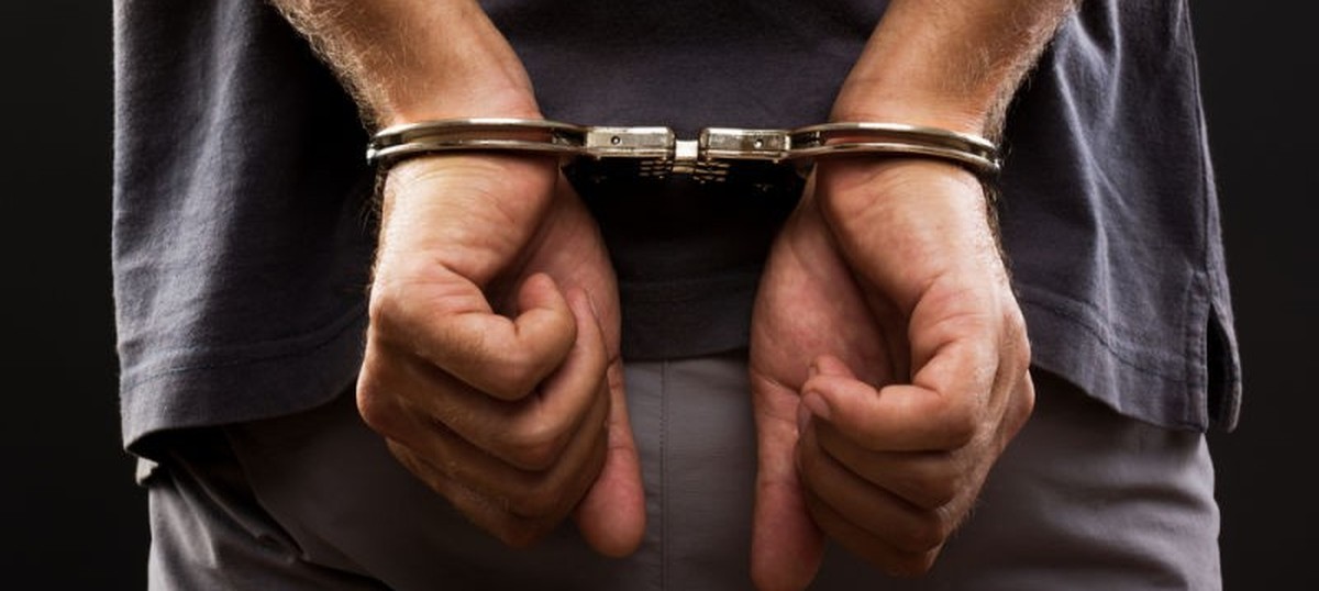 Chennai Police identify MBBS student who threw a dog off the terrace of a building for fun