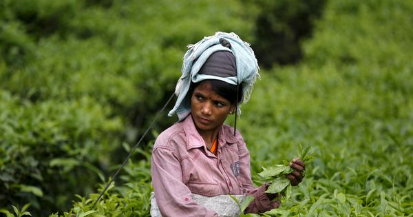 What Assam’s new Scheduled Tribe reservation proposal could mean for its marginalised groups