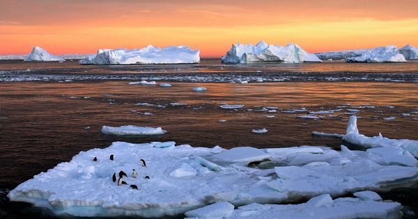An Antarctic ‘polar thriller’ and a neurodivergent novel imagine a climate-changed future