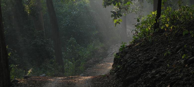Environment Ministry proposes green cess to make people more 'ecologically responsible'
