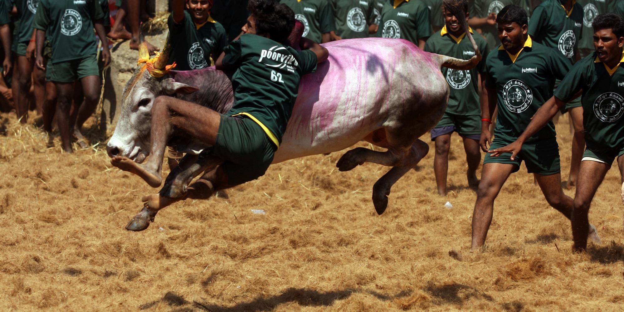 Image credit: AFP Image credit: AFP