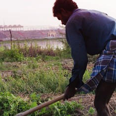 ‘विश्व सांस्कृतिक समारोह’ की सबसे बड़ी कीमत यमुना खादर के किसान चुका रहे हैं