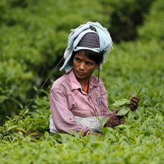 What Assam’s new Scheduled Tribe reservation proposal could mean for its marginalised groups