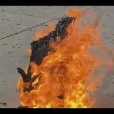 Watch what happens when you light 5,200 black snakes (ok, they're fireworks) to celebrate July 4
