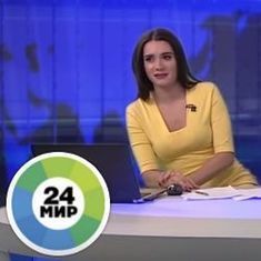 Image result for What is this cuddly pet dog doing in a news television studio?