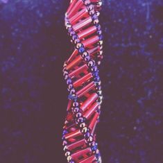 Interview: Infosys Prize winner Yamuna Krishnan on DNA nanobots that can predict disease