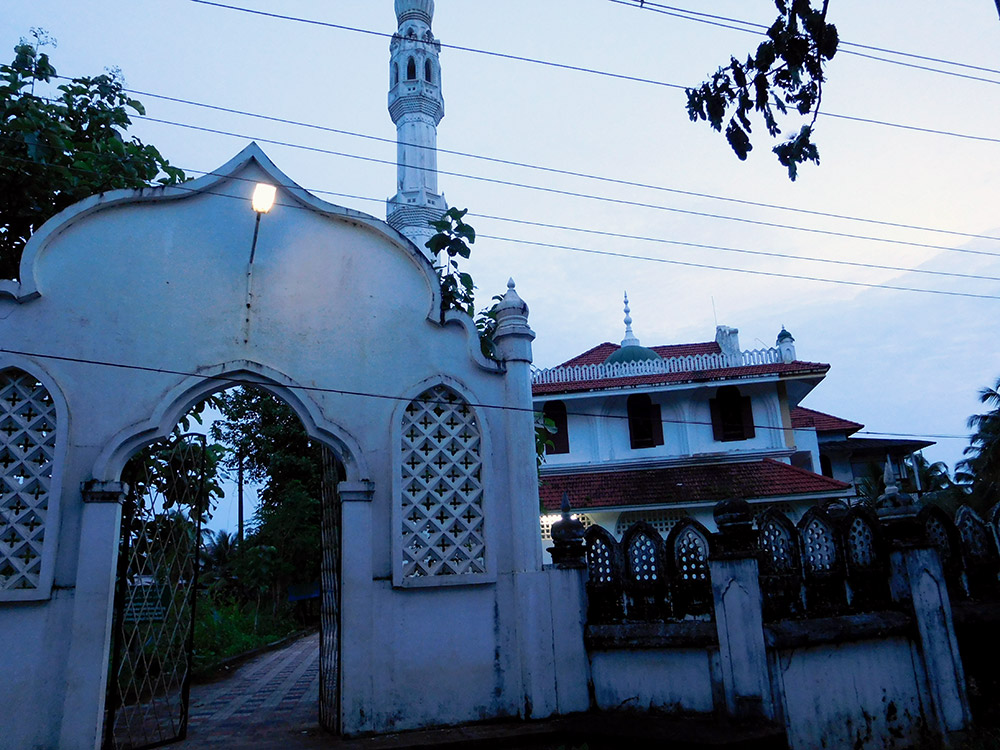 कई लोगों का मानना है कि सलाफी मस्जिद (तस्वीर में) में दी जा रही शिक्षा की वजह से गांव के लड़के आईएस की तरफ आकर्षित हुए. फोटो क्रेडिट : टीए अमीरुद्दीन कई लोगों का मानना है कि सलाफी मस्जिद (तस्वीर में) में दी जा रही शिक्षा की वजह से गांव के लड़के आईएस की तरफ आकर्षित हुए. फोटो क्रेडिट : टीए अमीरुद्दीन