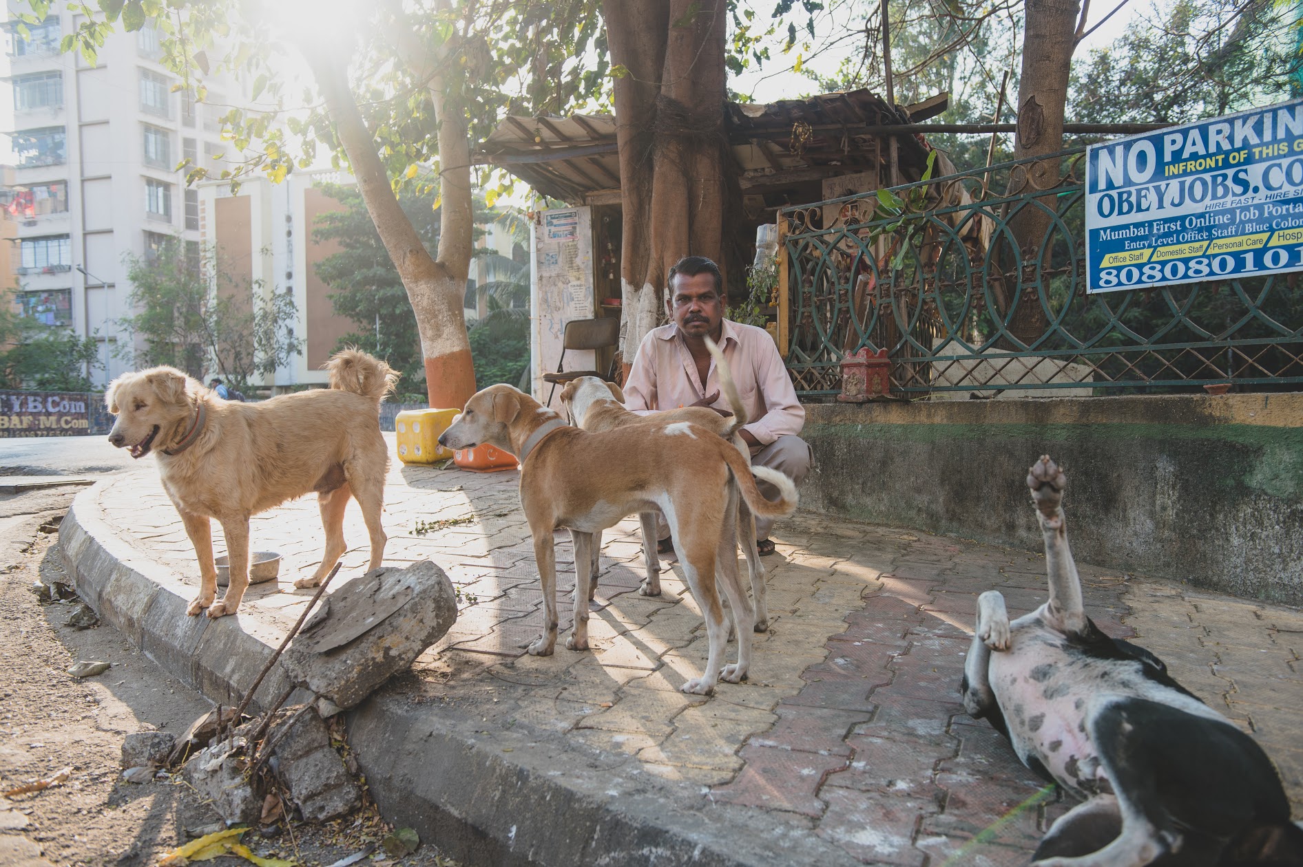 Purbhe with Kaalu, Julie Jr, Dhaamu, Panda, Raja and Raani
